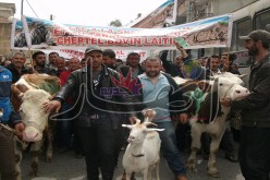 آلاف الفلاحين يحاصرون مقر الولاية بالأبقار والماعز في تيزي وزو