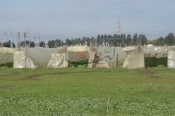 تسجيل أكثر من 500 اعتداء على الأراضي الفلاحية خلال 6 أشهر