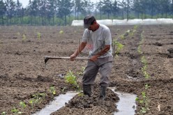 السّجن لكلّ فلاح وحجز تجهيزاته في حال استغلال مياه المجاري في السقي