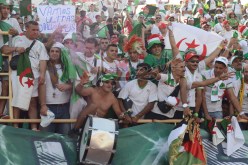 الجزائريون يسخرون: فلسطين تتحرر وغزال هدافا للكالتشيو ومصر لن تتأهل