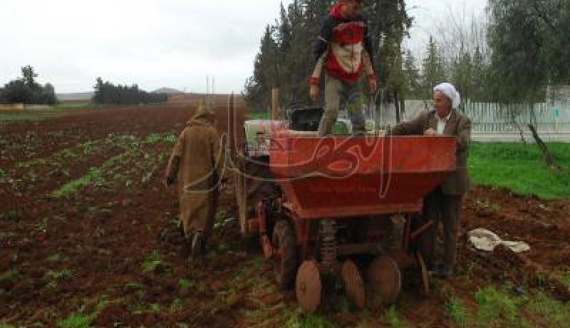 لا تعويضات للفلاحين المتضررين من الكوارث الطبيعية