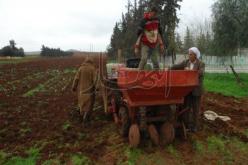 قُروض من دون صُكوك للفلاحين تفوق قيمتها مليار سنتيم