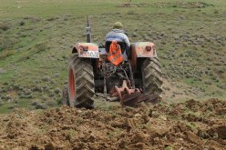 مهنــدس فـلاحي يحـتال علـى مسـتـورد ويـسـلـبه2.8 ملـيـارا في صـفـقـة شـراكـة بعـين البـنــيـــان