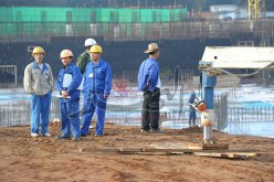 10 آلاف ماصـو من الهند وباكستان في الجزائر