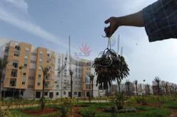 تبون:تسليم قرارات التخصيص المسبق لفائدة مكتتبي عدل 2 أواخر 2016