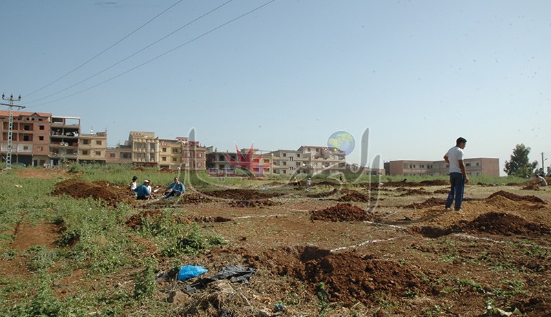 عصابة من 4 أشخاص يستغلّون إعلانات الجرائد لعقد صفقات لبيع أراض من دون علم أصحابها