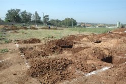 الإسمنـت يلتهـم 6 هكتارات مــــن الأراضي الفلاحية يــوميـا