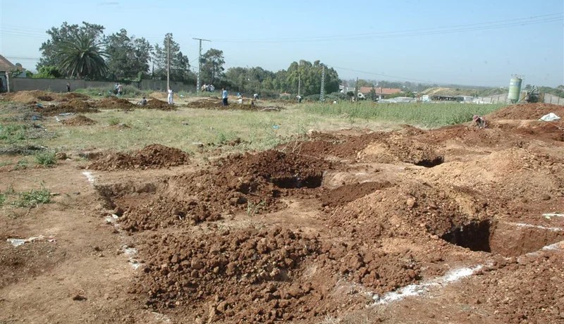 الإسمنـت يلتهـم 6 هكتارات مــــن الأراضي الفلاحية يــوميـا