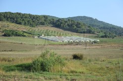 موظف بالولاية يستولي على مليار سنتيم وأراض فلاحية باستغلال اسم شقيقه المعاق في عين تموشنت