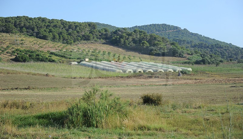 موظف بالولاية يستولي على مليار سنتيم وأراض فلاحية باستغلال اسم شقيقه المعاق في عين تموشنت