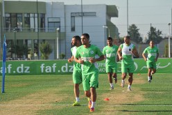 الخضر يباشرون التحضيرات الجدية لموقعة مالاوي