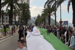 الجزائريون يعلمون المراركة درسا في الوطنية والحضارة