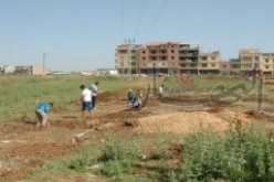مدير التربية يستولي على أراضي فلاح ويخرّب مزرعته في خميس مليانة بعين الدفلى