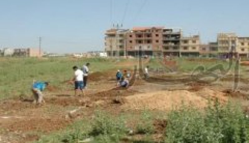 مدير التربية يستولي على أراضي فلاح ويخرّب مزرعته في خميس مليانة بعين الدفلى
