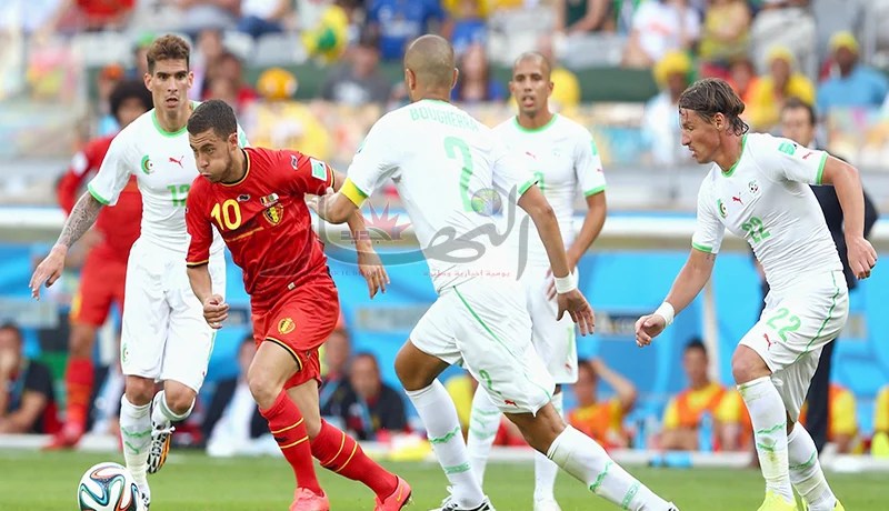 “والفنـــــــــــــا بــــالخســــارة”