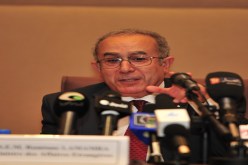 نحترم قرار الأحزاب الإسلامية الرافضة لزيارة الوزير المصري