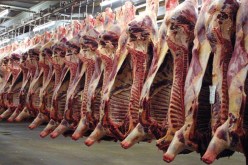 حظر استيراد الحيوانات والمنتجات الحيوانية من تونس