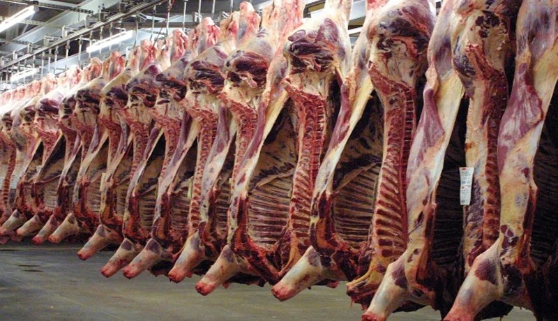 حظر استيراد الحيوانات والمنتجات الحيوانية من تونس