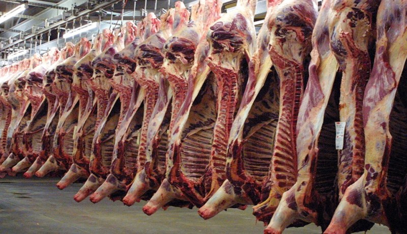 حظر استيراد الحيوانات والمنتجات الحيوانية من تونس