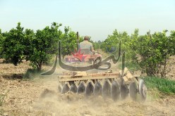 فلاحو أمريكا لتأمين غذاء الجـزائريـين