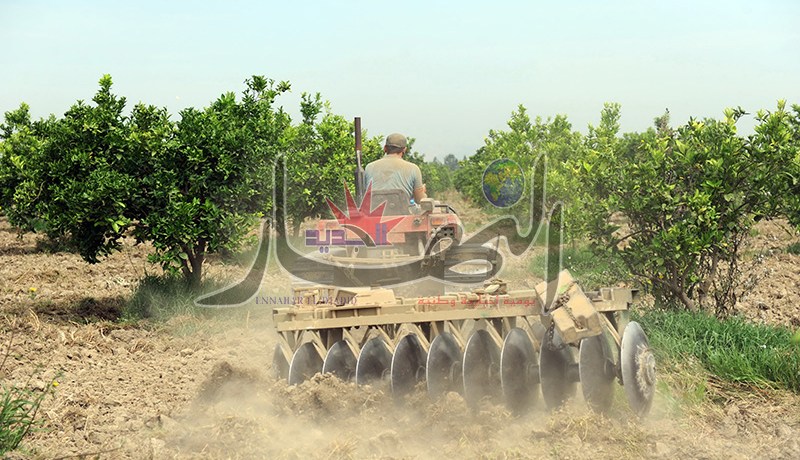 فلاحو أمريكا لتأمين غذاء الجـزائريـين