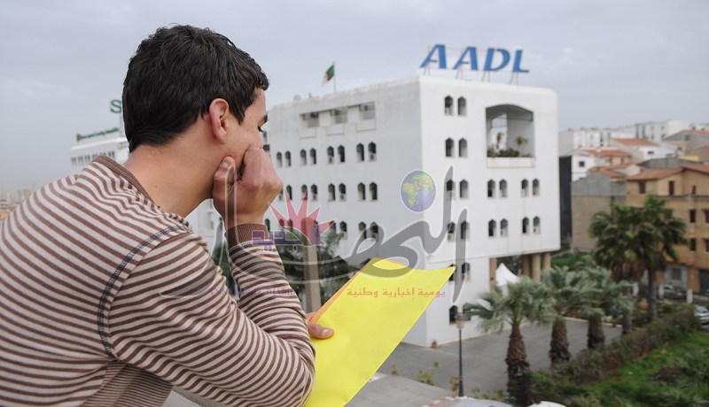 الأسرة الثورية غير معنية بمساكن «عدل»