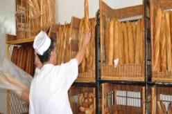 الخبّـازون يطالبون بإلغاء الفوائــد عـن قروضهــم لاقتنــاء المولــــدات