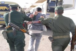 توقيف 17 شخصا تورّطوا في حرب عصابات بشوارع القليعة في تيبازة