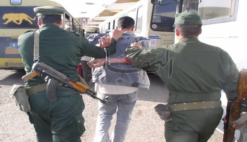 توقيف 17 شخصا تورّطوا في حرب عصابات بشوارع القليعة في تيبازة