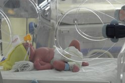 شيـوخ بقالهم الماء يحما يبحثون عن أطفال الأنابيب