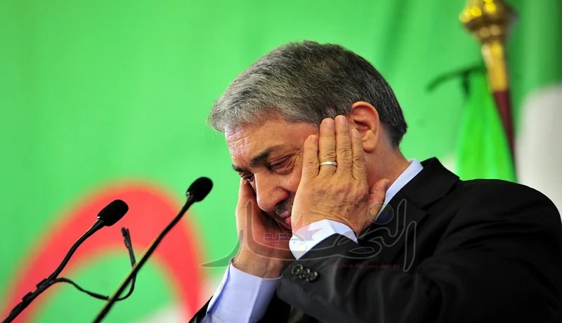 “الفــايسبـوكيون” يتنصّلون مــن بــن فليس ويخــتـارون الإستــقــرار