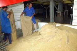 نقابة عمال مجمّع الرياض تقاضي الرئيسة المديرة العامة للمجمع