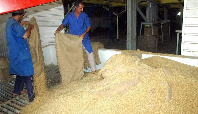 نقابة عمال مجمّع الرياض تقاضي الرئيسة المديرة العامة للمجمع