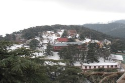 مواطنان يتنازعان على فيلا ملك لرئاسة الجمهورية في الشريعة بالبليدة