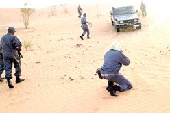 توقيف 31 شخصا و حجز ثلاثة عربات بعين قزام