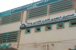 محتجّون يغلقون مقرّ الصندوق الجهوي للتعاون الفلاحي بالجلفة