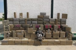 حجز 30 قنطارا من الكيف بعد تمشيط مزرعة على الحدود في تلمسان