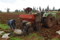 إسقاط حق الامتياز عـلى الأسـرة الثـورية‮!‬