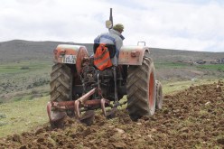 200 مليون سنتيم لكلّ فلاح لاقتناء المعدّات الزراعية