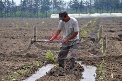 توظيف 10 آلاف جامعي للتحقيق مع 900 ألف فلاح