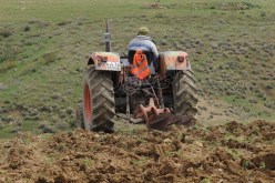 وزارة الفلاحة تضع شروطا جديدة للاستفادة من مستثمرات فلاحية