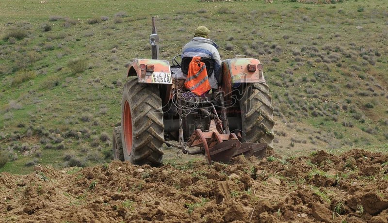 6 أشهر أمام الفلاحين لاستصلاح الأراضي أو تجريدهم منها