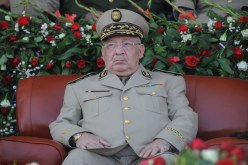 ڤايد صالح يُحيل 3 جنرالات وعقيدا بالمخابرات على التقاعد