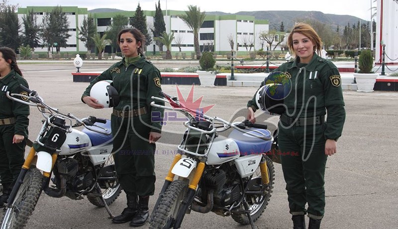 دركيات للرد على الرقم الأخضر وموطارات في الطرق الوطنية