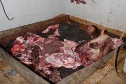 اكتشاف مذبح سري لتسويق لحوم الجيفة في تلمسان