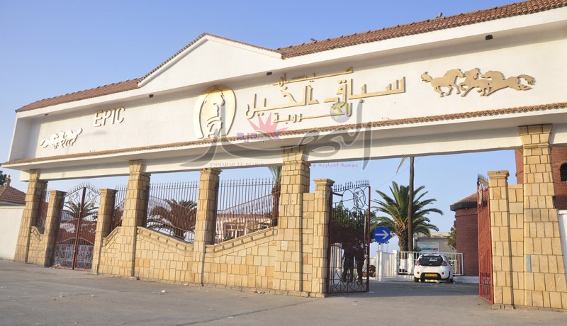 رئيس نادي الفروسية بالخروبة يعتدي بالضرب على بطل جزائري ويمنعه من التدريبات