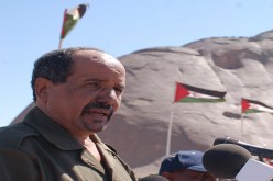 المغرب يوجّه عائدات الكيف لدعم منظّمات وعصابات إجرامية دولية