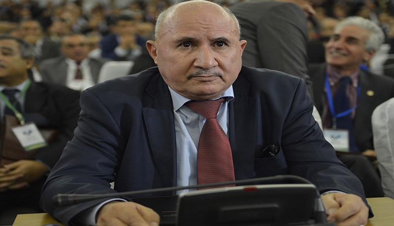 لجان تحقيق خاصة في ملفات العقار الفلاحي بولايات الجنوب