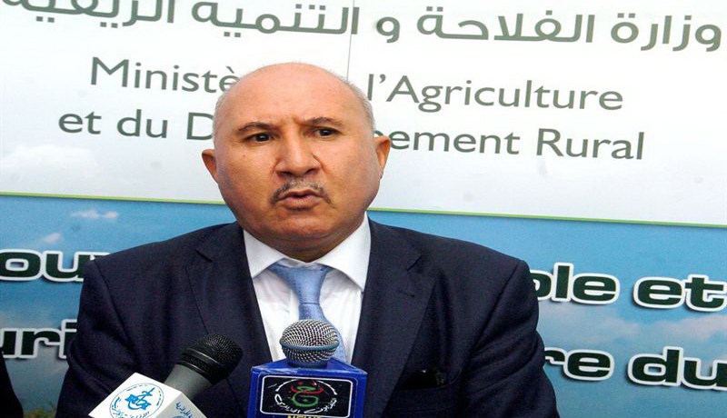 وزير الفِلاحة يأمر بتجميد تراخيص حفر الآبار