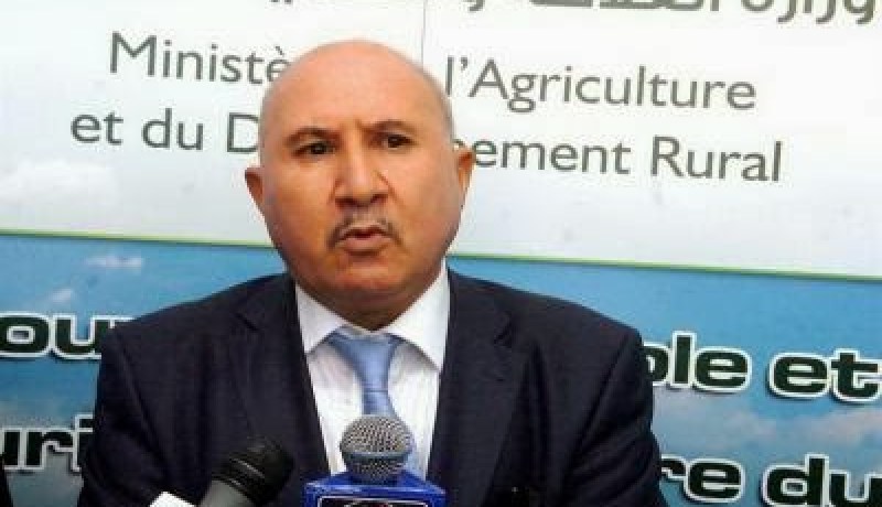 نوري يؤكد أن العمل جار على مستوى الحكومة لتوسيع المساحات المسقية